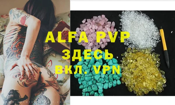 индика Анива
