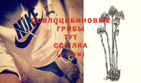 дмт Абдулино